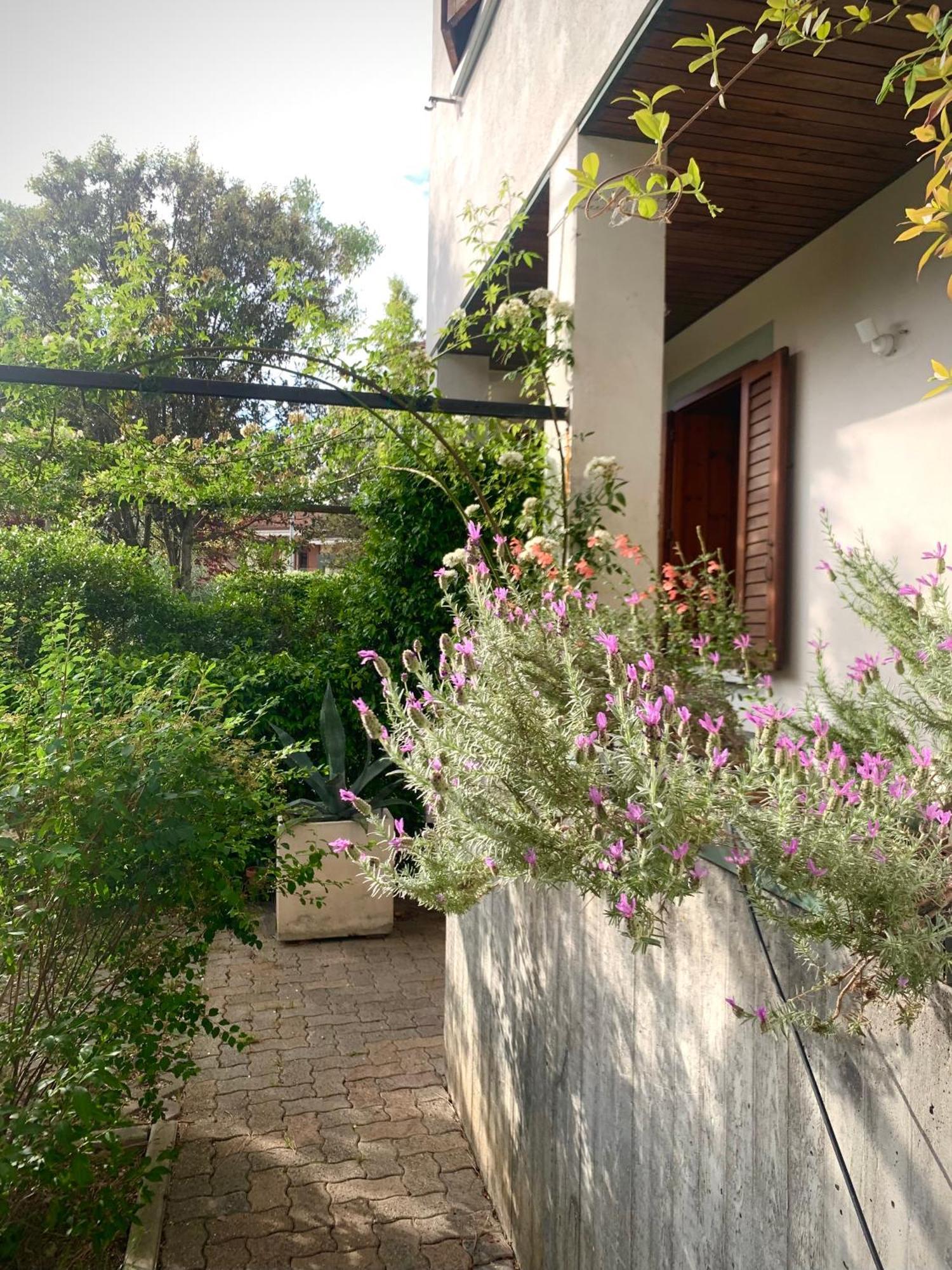 Beau Rivage - Room Studio In Villa SantʼArcangelo di Romagna Exteriör bild