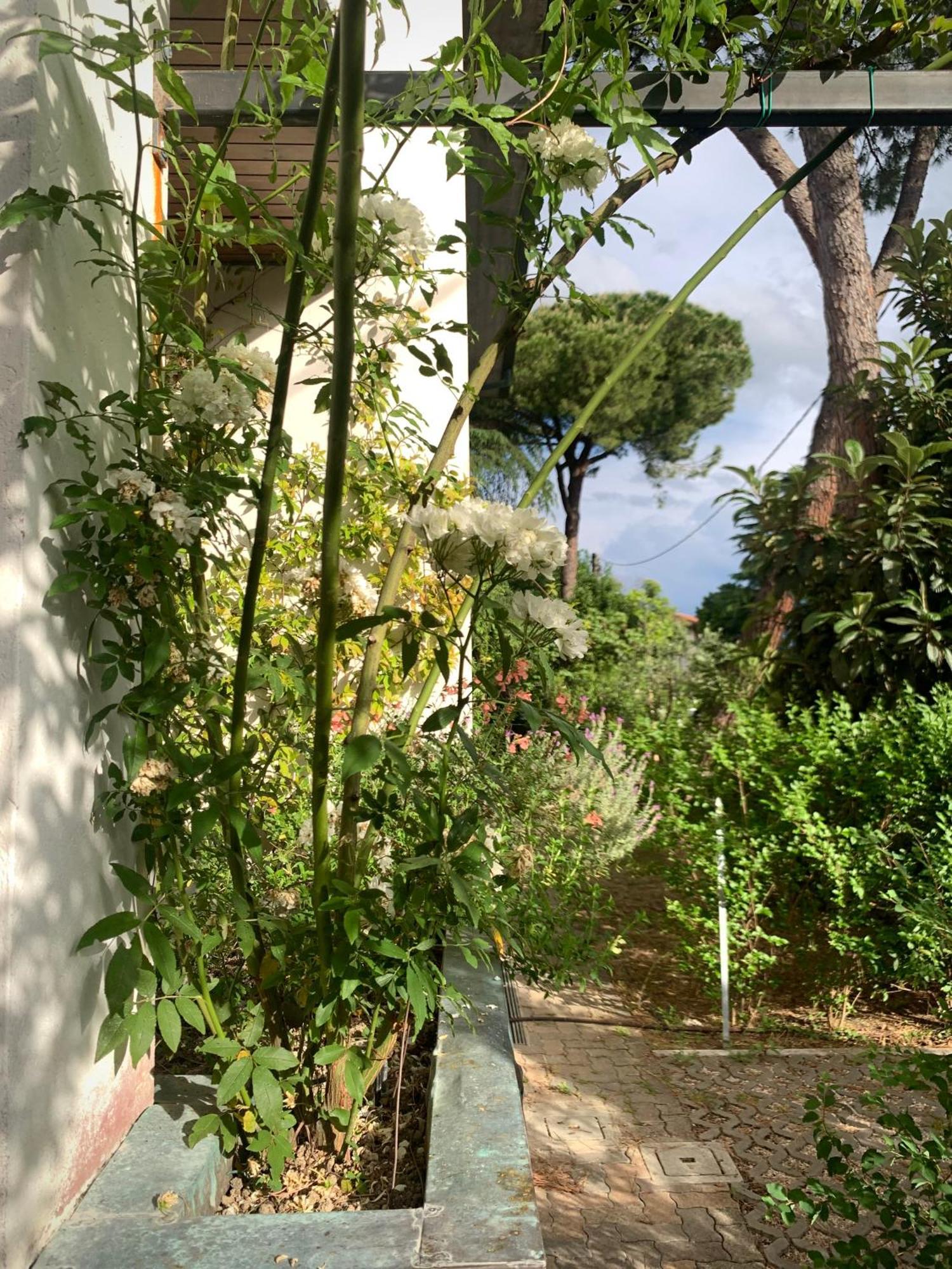 Beau Rivage - Room Studio In Villa SantʼArcangelo di Romagna Exteriör bild